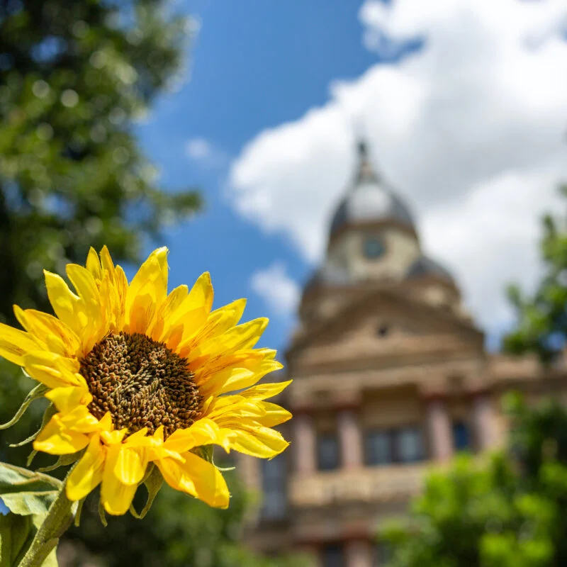 How To Spend A Perfect Weekend In Charming Denton, Texas