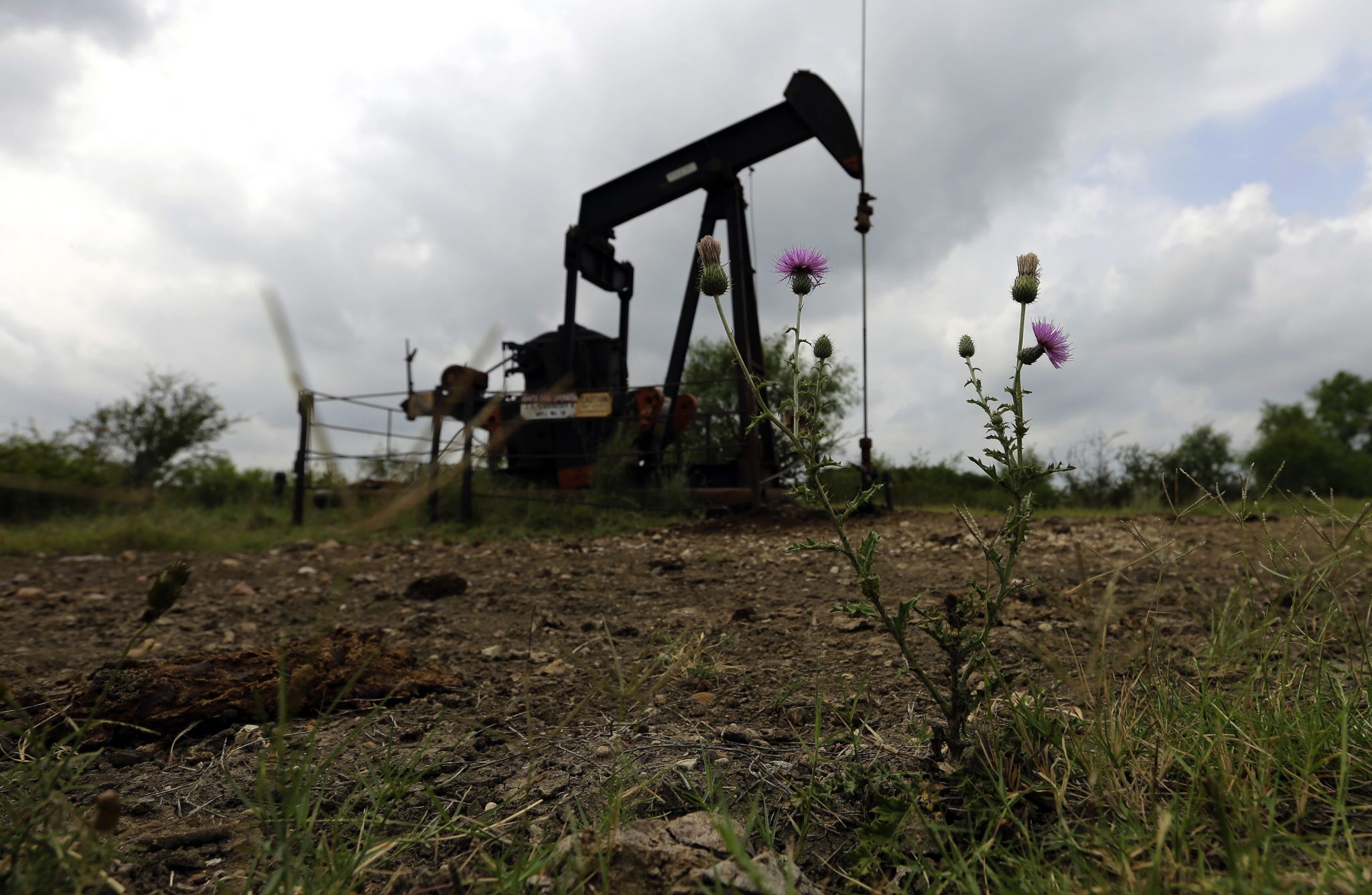 Weekly Oil And Gas Update: Houston Companies Once Again See Oil Rise Above $55 Per Barrel