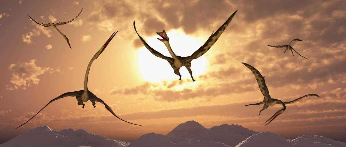 San Antonio, Texas was home to biggest flying ‘dinosaur’ ever: Quetzalcoatlus: named after Aztec god